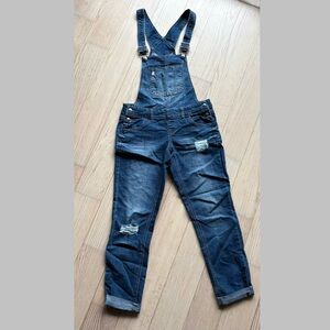 Stylish Blue Denim Overalls